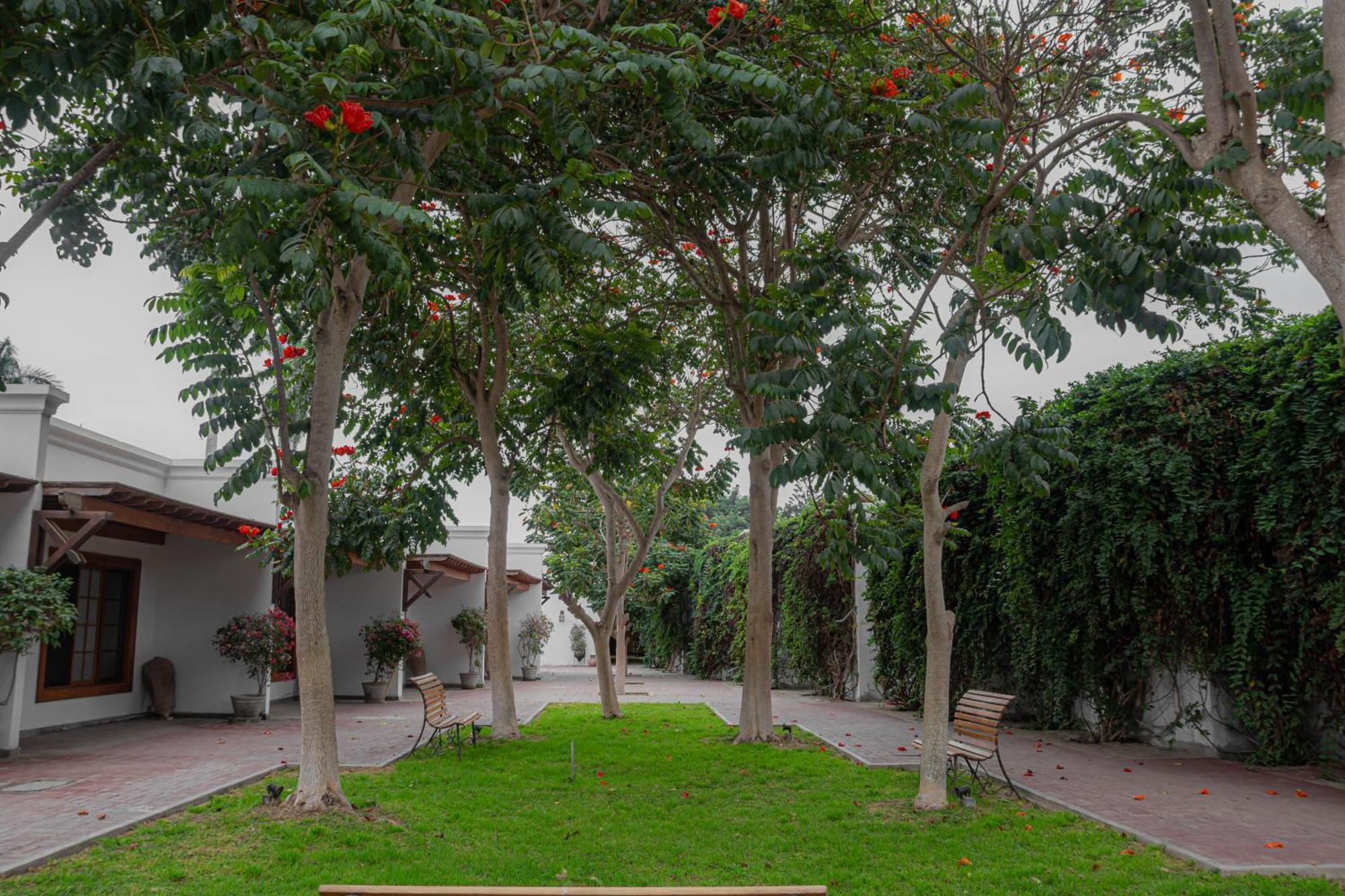 Casa Hacienda San Jose Hotel Chincha Alta Buitenkant foto
